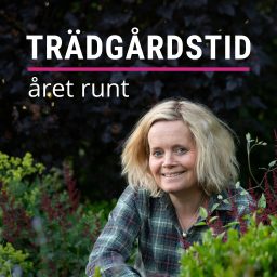 Artwork for Trädgårdstid året runt