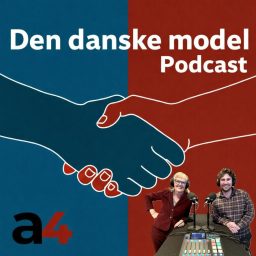 Artwork for Den danske model