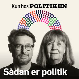 Artwork for Sådan er politik