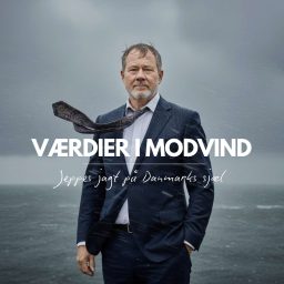 Artwork for Værdier i modvind