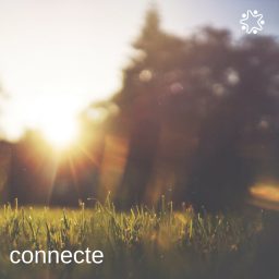 Artwork for Connecte