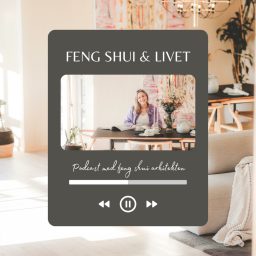 Artwork for FENG SHUI OG LIVET