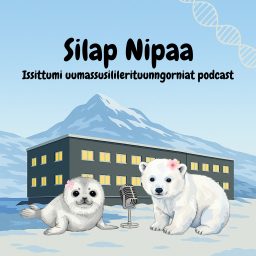 Artwork for Silap Nipaa