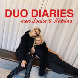 Artwork for Duo Diaries