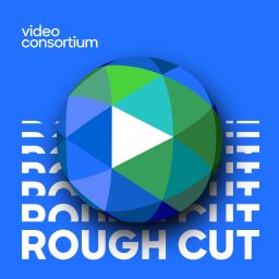 Artwork for Rough Cut