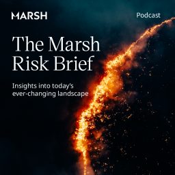 Artwork for The Marsh Risk Brief