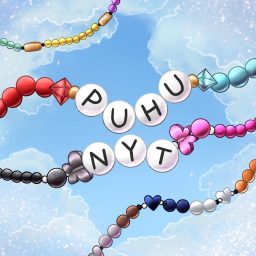 Artwork for Puhu Nyt