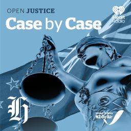 Artwork for Case by Case (Open Justice)