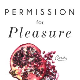 Artwork for Permission for Pleasure
