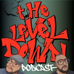 Artwork for The Level Down Podcast