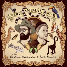Artwork for Every Animal Ever