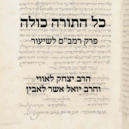 Artwork for Rambam Yomi