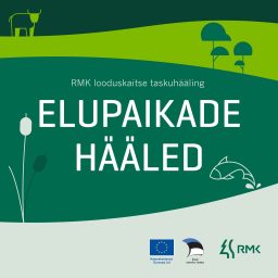 Artwork for Elupaikade hääled