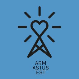 Artwork for Armastusest