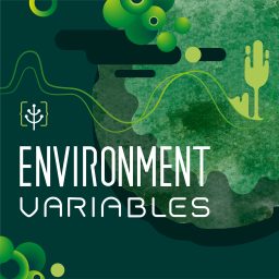 Artwork for Environment Variables