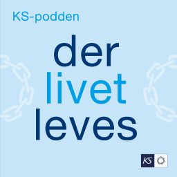 Artwork for Der livet leves