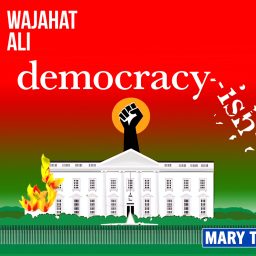 Artwork for democracy-ish