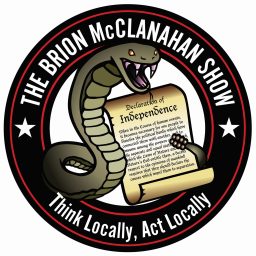Artwork for The Brion McClanahan Show