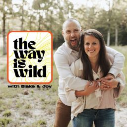Artwork for The Way is Wild