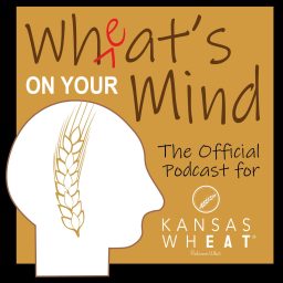 Artwork for Wheat's On Your Mind