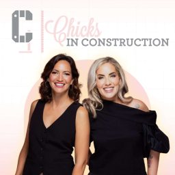 Artwork for Chicks in Construction