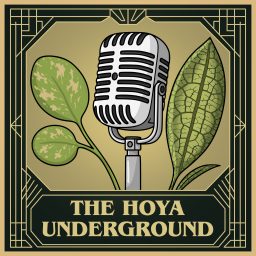 Artwork for The Hoya Underground