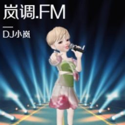 Artwork for 岚调 FM｜一个人 , 一小时 ,夜色如歌