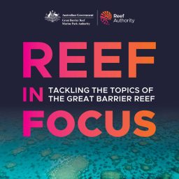 Artwork for Reef in Focus