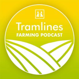 Artwork for Tramlines