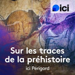 Artwork for Sur les traces de la Préhistoire
