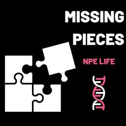 Artwork for Missing Pieces - NPE Life