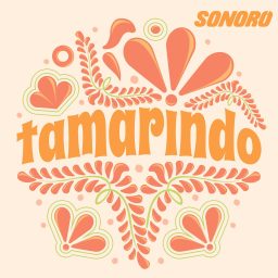 Artwork for Tamarindo
