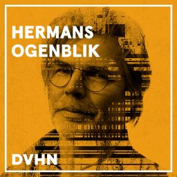 Artwork for Hermans Ogenblik