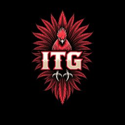 Artwork for Inside the Gamecocks Shows and Podcasts