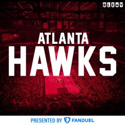 Artwork for Bleav in Hawks