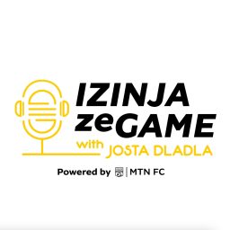 Artwork for Izinja zeGame