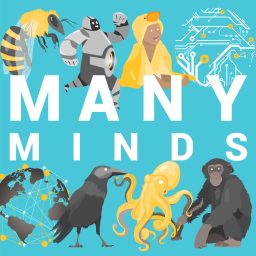 Artwork for Many Minds