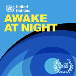 Artwork for Awake At Night
