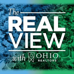 Artwork for The Real View