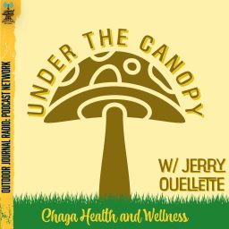 Artwork for Under the Canopy