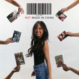 Artwork for Not Made In China