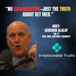 Artwork for Irreplaceable Truths
