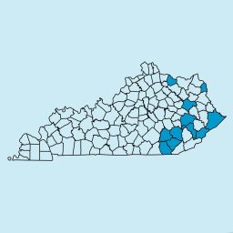 Artwork for Eastern Kentucky Newspapers