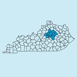 Artwork for Lexington Newspapers
