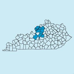 Artwork for Louisville Newspapers