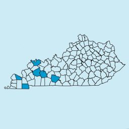 Artwork for Western Kentucky Newspapers