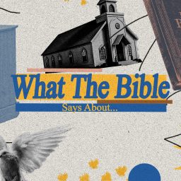 Artwork for What the Bible Says About...