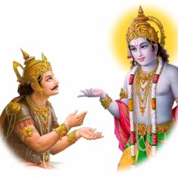 Artwork for JKP Radha Madhav Dham