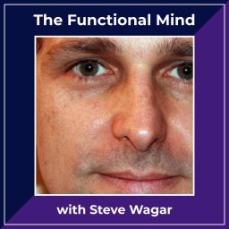 Artwork for The Functional Mind
