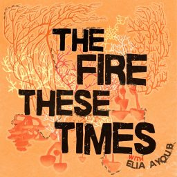 Artwork for The Fire These Times